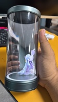 Tragbarer Indoor-Desktop-Hologramm-Display-Showcase 3D-Zylinder Mini 5-Zoll Hologramm-Röhre OEM