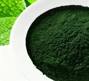 Высококачественный натуральный экстракт хлореллы Vulgaris, органический порошок хлореллы - Product Image 3