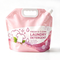Pochette souple personnalisée avec logo pour détergent à lessive, avec bec verseur et poignée Flexiloop, sac d'emballage liquide avec bouchon