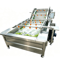 Industriële wasmachine voor groenten en fruit van roestvrij staal met belletjeswasmethode