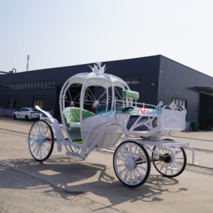 Chariot de Cendrillon électrique de haute qualité avec structure en acier et couleur personnalisable pour transport spécial de mariage - Product Image 3