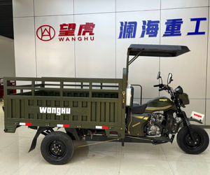 دراجة ثلاثية العجلات تعمل بالبنزين متعددة الأغراض للركاب والبضائع - مركبة متعددة الوظائف للاستخدام في المناطق الحضرية والريفية - Product Image 2