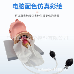 Modelo avanzado multifuncional para entrenamiento de intubación endotraqueal, gestión de la apertura de las vías respiratorias, práctica de succión. - Product Image 3