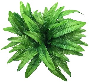 Arbustos Artificiales, Plantas de Plástico, Hierba Persa, Hojas de Helecho, Arbustos Artificiales para Bodas, Interiores, Exteriores, Hogar, Jardín, Terraza, Cocina - Product Image 2
