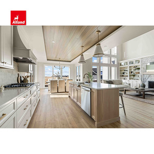 Alland Portes de rangement en bois Shaker Island Quartz Blanc Armoires Designs complets Meubles de cuisine Armoires pour appartement - Product Image 1