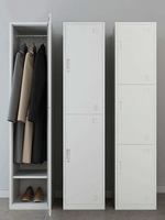 Armoire de rangement résidentielle en acier robuste à porte simple, format compact, pour chambre à coucher