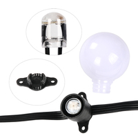 Noël SJ-G40 RVB LED Guirlande Lumineuse Décorative Permanente DC 5V/12V SMD Puce Matériel ROHS Certifié Modules