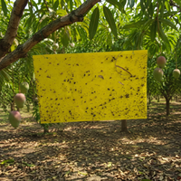 Trampa Adhesiva para Moscas de la Fruta de Doble Cara, 25x40cm, Resistente a los Rayos UV, Impermeable, para Control de Plagas en Huertos, Granjas e Invernaderos