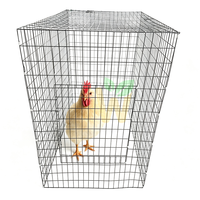 Enclos à poulets pliables en acier galvanisé soudé, portables et économiques, clôture de ferme pour les passionnés de pigeonnage