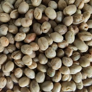 Granos de Café Arábica Lavados, Granos Redondos Grandes Tipo Elefante, Bolsa de Goteo, Materia Prima, Almacenamiento a Temperatura Ambiente - Product Image 4