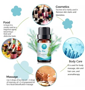 Huile essentielle d'arbre à thé 100% pure et naturelle pour <span class=keywords><strong>les</strong></span> problèmes cutanés et <span class=keywords><strong>les</strong></span> soins des plaies chez la volaille, huile essentielle pour <span class=keywords><strong>les</strong></span> soins des animaux, vente en gros - Product Image 4
