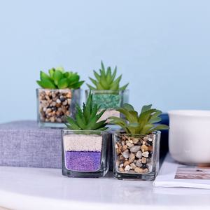 Mini <span class=keywords><strong>piante</strong></span> <span class=keywords><strong>grasse</strong></span> artificiali <span class=keywords><strong>Haworthia</strong></span> in vaso di vetro piccole <span class=keywords><strong>piante</strong></span> in vaso piccola pianta con vaso - Product Image 1