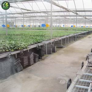 गर्म बिक्री जस्ती ग्रीनहाउस कृषि के लिए तम्बू - Product Image 2