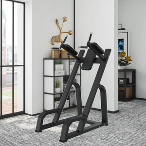 Appareil d'entraînement pour dips et rehaussements de genoux, structure ergonomique, pour le modelage des triceps, destiné aux studios de coaching privé et aux espaces d'entraînement. - Product Image 6