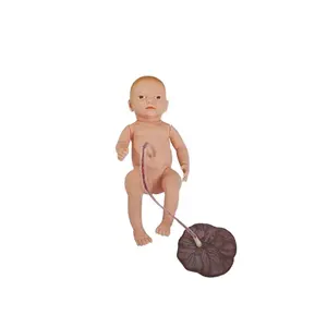 DARHMMY Medizinisches Modell Krankenschwestern-Praktik-Neugeborenen-Bauchnabel- und Plazenta-Modell für die Medizinische Wissenschaft