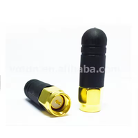 Antenne coaxiale Wi-Fi intérieure noire 2,4 GHz 2 dB 28 mm avec connecteur SMA mâle, conforme RoHS, en stock, directement de l'usine