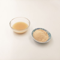 Chinese Factory Natural Condiment Halal Seasoning Chicken Powder