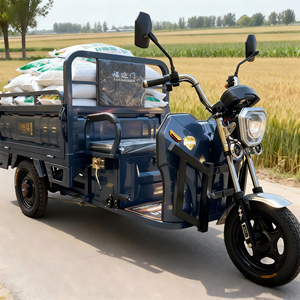 Venta caliente <span class=keywords><strong>precio</strong></span> <span class=keywords><strong>de</strong></span> fábrica 60V Tuk eléctrico motocicleta <span class=keywords><strong>3</strong></span> <span class=keywords><strong>ruedas</strong></span> <span class=keywords><strong>de</strong></span> cuerpo abierto triciclo eléctrico <span class=keywords><strong>de</strong></span> carga 500W 30-50 km/h - Product Image 1