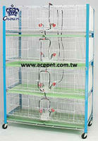 Cage à oiseaux pliable en métal durable Crown 2001-A OEM ODM personnalisée pour pigeons et oiseaux TW