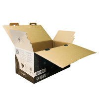 Caja de Envío Corrugada RSC con Logotipo Personalizado para Altavoces, Dispositivos de Audio, Electrónica, Embalaje para Comercio Electrónico, Caja Ecológica