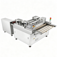 Machine de polissage et d'ébavurage automatique double face Pioneer 220V avec garantie 1 an pour le traitement de surface des cartes PCB