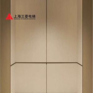 Ascensor Hidráulico Moderno Mitsubishi de 200kg-1000kg para 8 Pasajeros, Acero Inoxidable, Altura de Elevación Personalizable, para Viviendas de 3 Pisos - Product Image 5