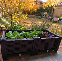 Jardinière surélevée rectangulaire en PP tressé, légère, durable, écologique, avec trous de drainage et auto-arrosage, pour intérieur/extérieur