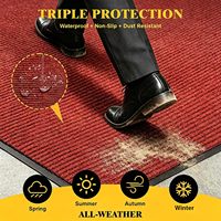 Tapis d'entrée double rayures en TPE inodore, antidérapant, anti-salissures, non toxique pour hôpital, école, hôtel
