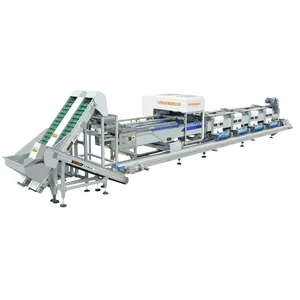 Pistachio processing machine ,pistachio newest machine with vsee newest technology