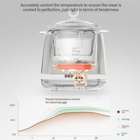 Cuiseur à œufs automatique multifonction intelligent avec arrêt automatique, boîtier en plastique écologique, silencieux pour usage domestique