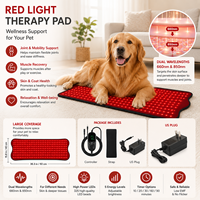 Ceinture de thérapie par lumière rouge Aisqueen en stock, 210 LED, 660 nm, 850 nm