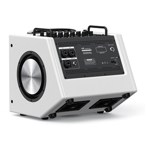 Kae M8 đầy đủ phạm vi loa siêu trầm loa siêu trầm 8 inch Bass Powered khuếch đại buổi hòa nhạc <span class=keywords><strong>DJ</strong></span> giai đoạn hoạt động 8 inch chuyên nghiệp <span class=keywords><strong>Bluetooth</strong></span> loa - Product Image 2