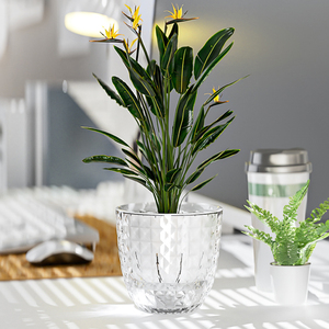 Décoration de salon pour <span class=keywords><strong>la</strong></span> maison jardinière blanche petit pot de fleurs en plastique - Product Image 2