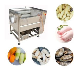 Machine industrielle de lavage et de pelage à brosses en acier inoxydable 304 pour carottes, fruits, oranges, pommes de terre, gingembre, manioc - Product Image 2