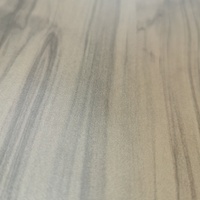 Kenari fenolik Formica HPL kompak papan Post dibentuk tekanan tinggi laminasi untuk lemari mebel Toilet partisi Panel dinding