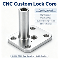 Pièces de précision usinées CNC OEM, anodisées noires, en acier inoxydable, pour cylindre de serrure, pliage de tuyaux, fabrication de tôles d'aluminium