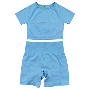 Conjunto de Yoga Profesional sin Costuras de Secado Rápido para Mujer, Top sin Tirantes y Pantalones Cortos, 2 Piezas, Ropa Deportiva de Verano para Correr, Spandex/Nailon - Product Image 1