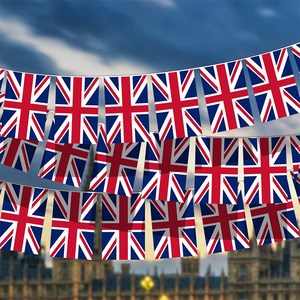 Tongjie nhà máy multipack hỗn hợp màu Bunting cờ các loại thiết kế cho lễ hội kỳ nghỉ lễ kỷ niệm trang trí nội thất - Product Image 2