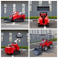 Mini Track Skid Steer Loader met meerdere aanbouwdelen, kleine mini-skidsteerlader, EPA Euro 5 gecertificeerd, 2 jaar garantie
