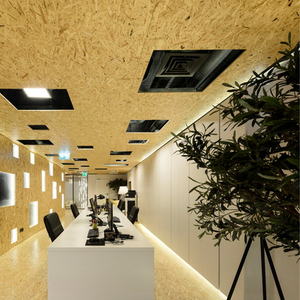 Sản xuất chuyên nghiệp 18mm <span class=keywords><strong>osb</strong></span> Hội Đồng Quản trị không thấm nước <span class=keywords><strong>osb</strong></span> 3 Hội Đồng Quản Trị - Product Image 3