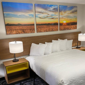 Khách sạn sang trọng thiết kế hiện đại King-Size Lớn đô thị kinh doanh khách sạn khu vực công cộng trang trí dự án bức tranh và tường nghệ thuật tác phẩm nghệ thuật - Product Image 1