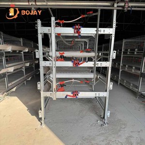 Venta caliente Aves <span class=keywords><strong>de</strong></span> Corral Equipo <span class=keywords><strong>de</strong></span> cría <span class=keywords><strong>de</strong></span> animales Malla criada Pollo y jaulas <span class=keywords><strong>de</strong></span> <span class=keywords><strong>gallo</strong></span> - Product Image 6