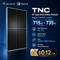 Panneau solaire bifacial double vitrage TW Solar Heguang TWMNF-66HD 715W 725W 735W TNC N-Type 2384x1303x33mm, module PV à 23,7% d'efficacité