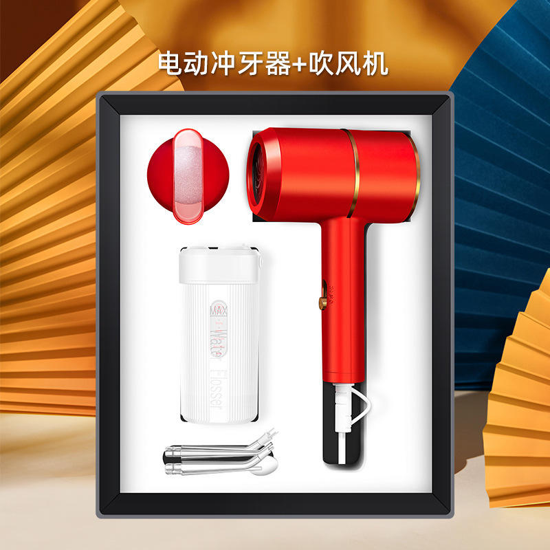 [Electric Dental Flosser Hair Dryer] Red