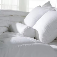 Oreiller carré en duvet de canard et de plumes de coton blanc de taille personnalisée en gros, insert d'oreiller pour hôtel