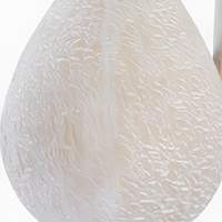Vase en céramique transparente texturée brute en forme de goutte d'eau, couleur blanc cassé, avec poignée carrée, style Art Déco, pour décoration de table et d'intérieur