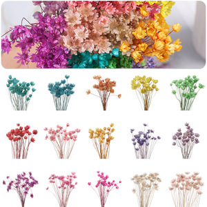L12 Fiori Secchi Naturali Mini Stella del Brasile YUNNAN per Resina Epossidica, Arte, Unghie, Sapone, Candele Profumate - Collezione Terra - Product Image 6