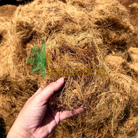 Fibre de coco brun doré 18%-25% d'humidité, longueur 7-30cm, 100kg/balle CDCF-FIBER-0001 Fournisseur Indococo Indonésie