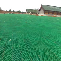 Pavés en plastique HDPE pour pelouse, fabriqués en Chine, pour parking, grille de gravier, allée