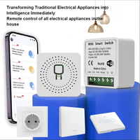 Interrupteur intelligent FY02 EWelink WiFi, commande à distance sans fil, minuterie, contrôleur, commande vocale, moniteur d'énergie 10A/16A